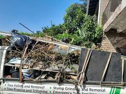 Best Residential Junk Removal  in Park View, IA