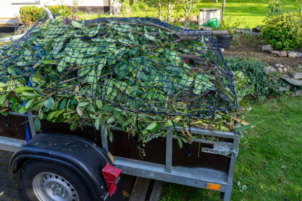 Best Retail Junk Removal  in Park View, IA